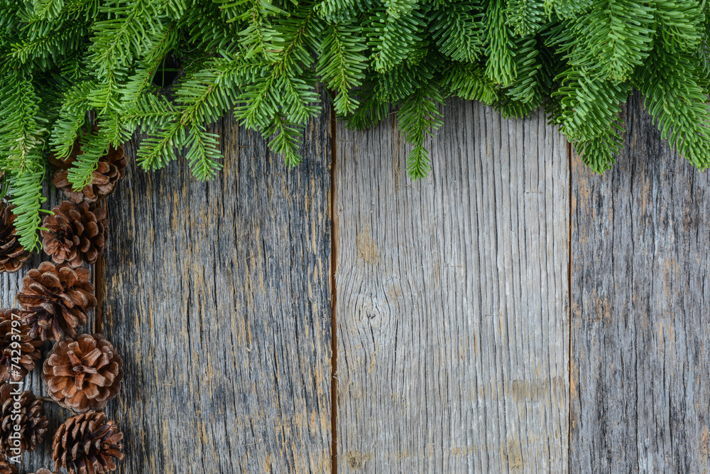 Tree branch on rustic wooden background with pine cones Tree branch on rustic wooden background with pine cones