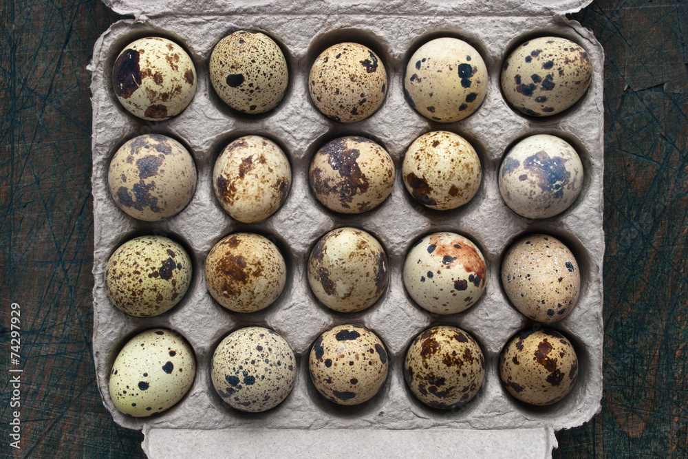 Quail eggs in the cardboard packing on the grey table