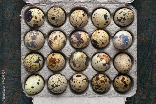 Quail eggs in the cardboard packing on the grey table