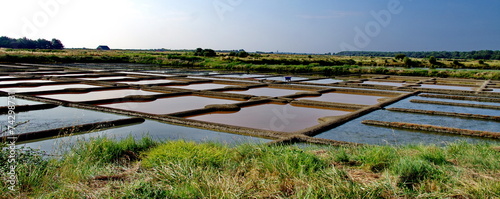 marais salant-guérande