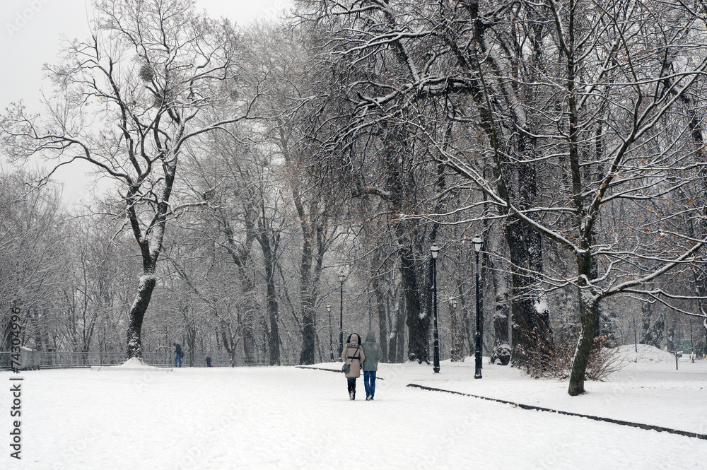 The first snow of the season The first snow of the season