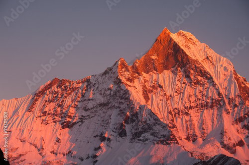 Top of Mount Machhapuchchhre  Annapurna Himal  Nepal