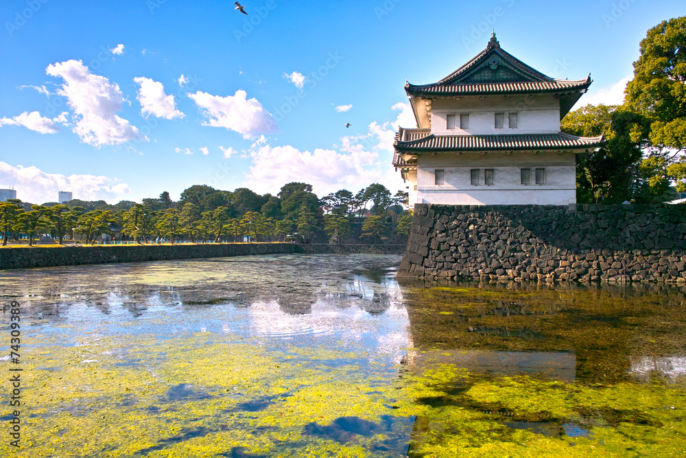 Obraz premium 内堀通りから見た巽櫓