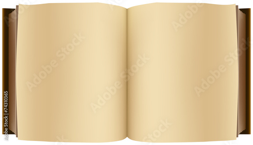 Brown open book