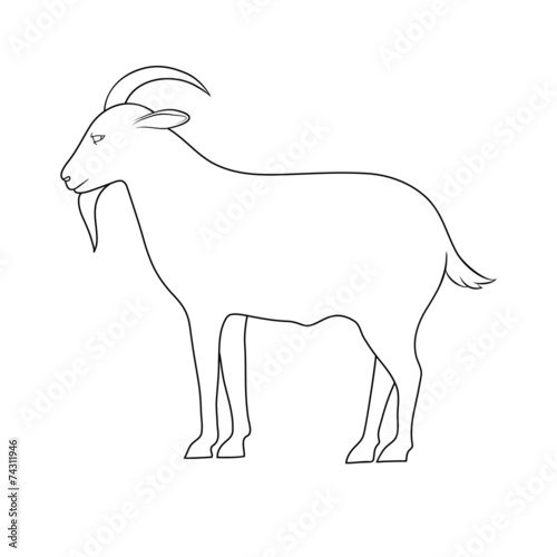 silhouette of goat