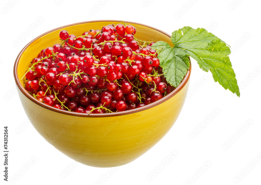Red currant Red currant