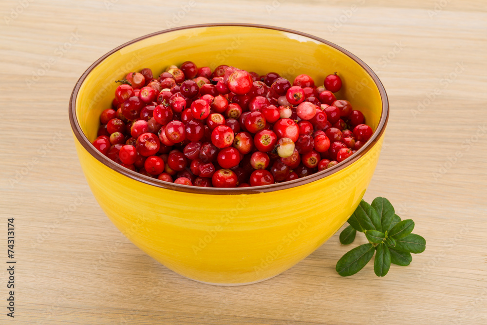 Cowberry Cowberry
