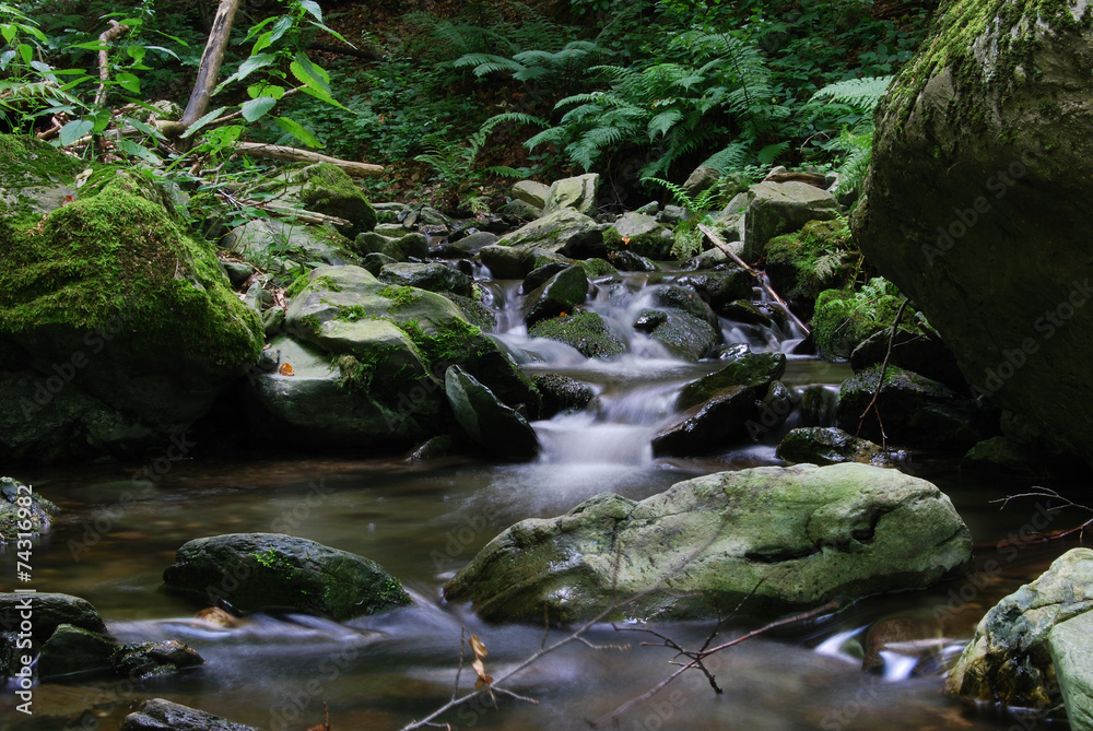Berkovska fiume - Bulgaria , Berkovica