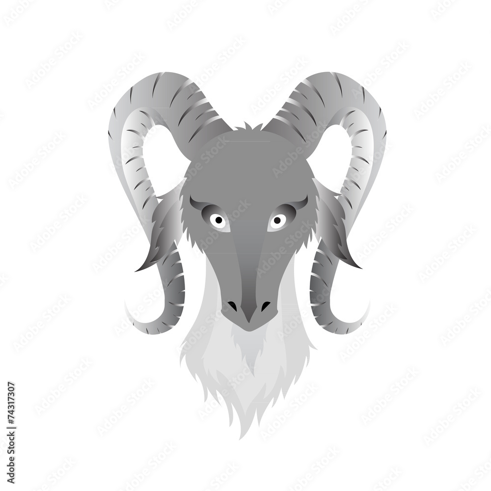 Fototapeta premium Vector image of an goats head on white background