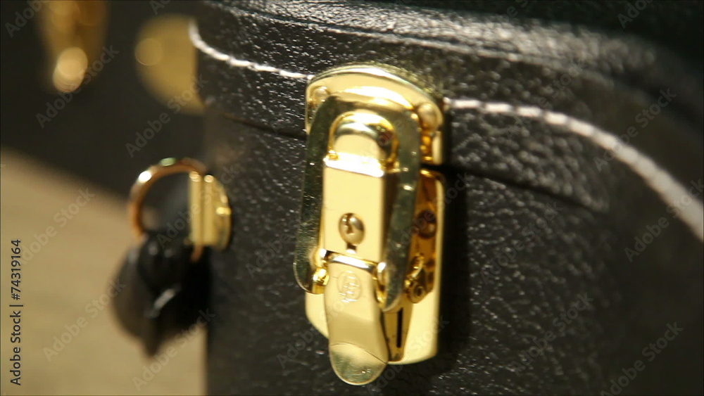 guitar in the case, dolly 1 guitar in the case, dolly 1