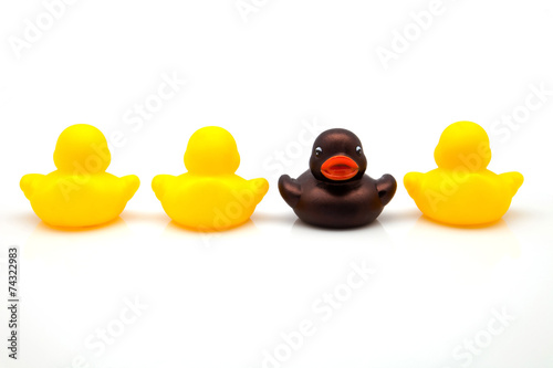 Fotografie cuatro patos de goma