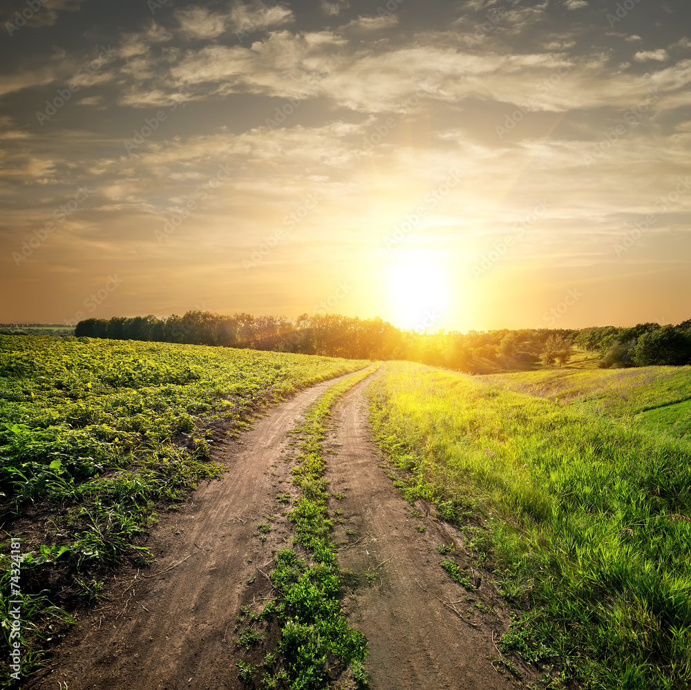 Obraz premium Sunset over country road