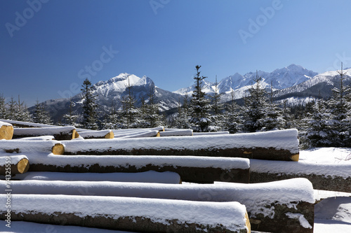 winter in tatra mountains in poland  with heap of pieces of wood