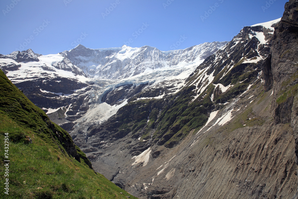 Fiescherhörner mit Grindelwaldgletscher
