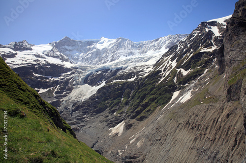 Fiescherhörner mit Grindelwaldgletscher