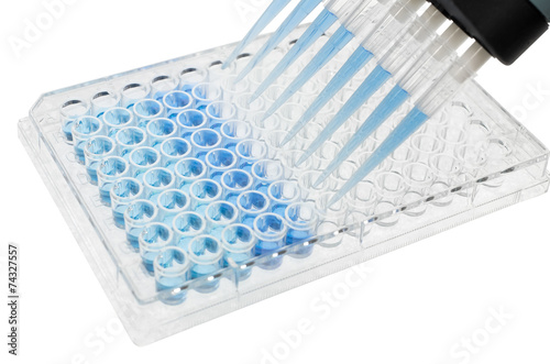 pipette test sample on 96 wells plate