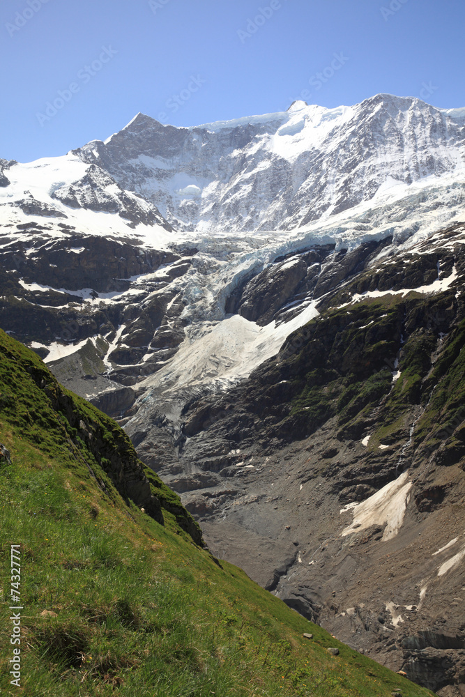Fiescherhörner mit Grindelwaldgletscher