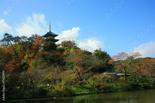 横浜、三渓園内の三重塔と紅葉 © naruto_japan