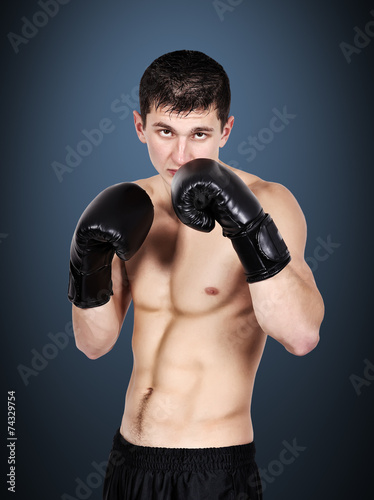 boxer in black gloves © vetkit