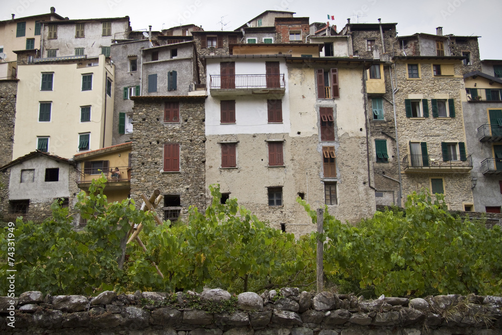 Fototapeta premium Pigna (Imperia)