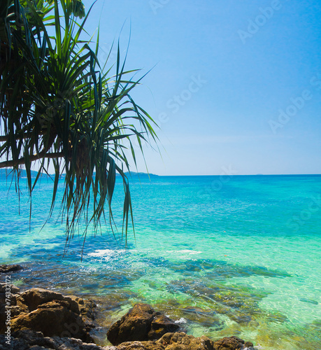 Idyllic Coast Green View