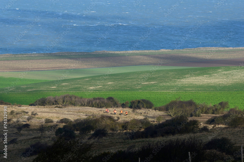 Fototapeta premium battue