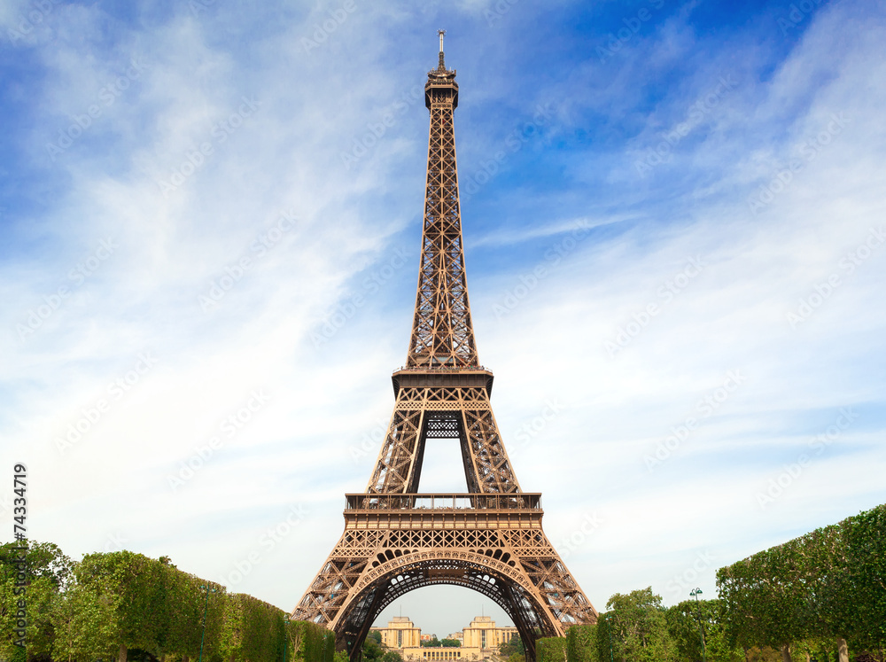 Obraz premium Fantastic Eiffel Tower in Paris