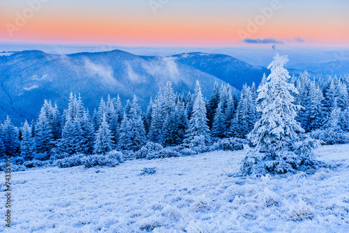winter landscape trees in frost