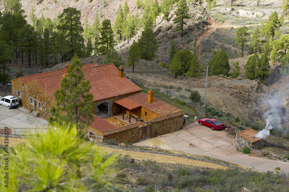 Cabin in the woods Cabin in the woods