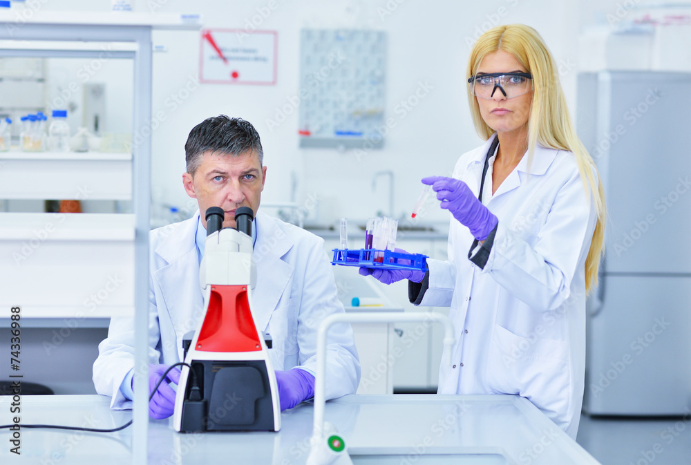 two people working in the laboratory two people working in the laboratory