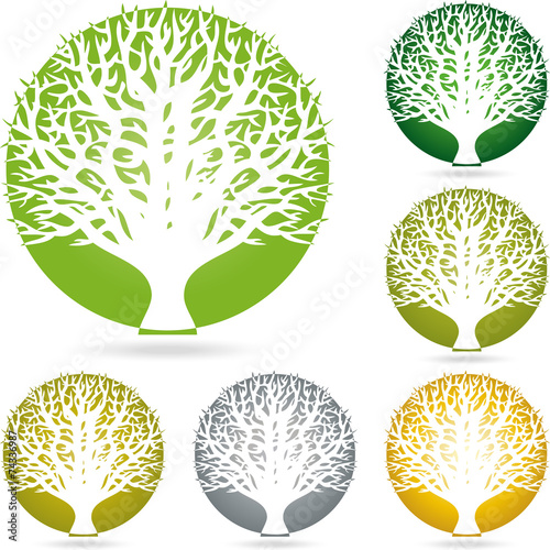 Logo, Pflanze, Baum, Heilpraktiker