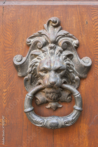 Door knocker closeup