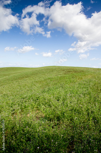 prairie toscane crete senesi