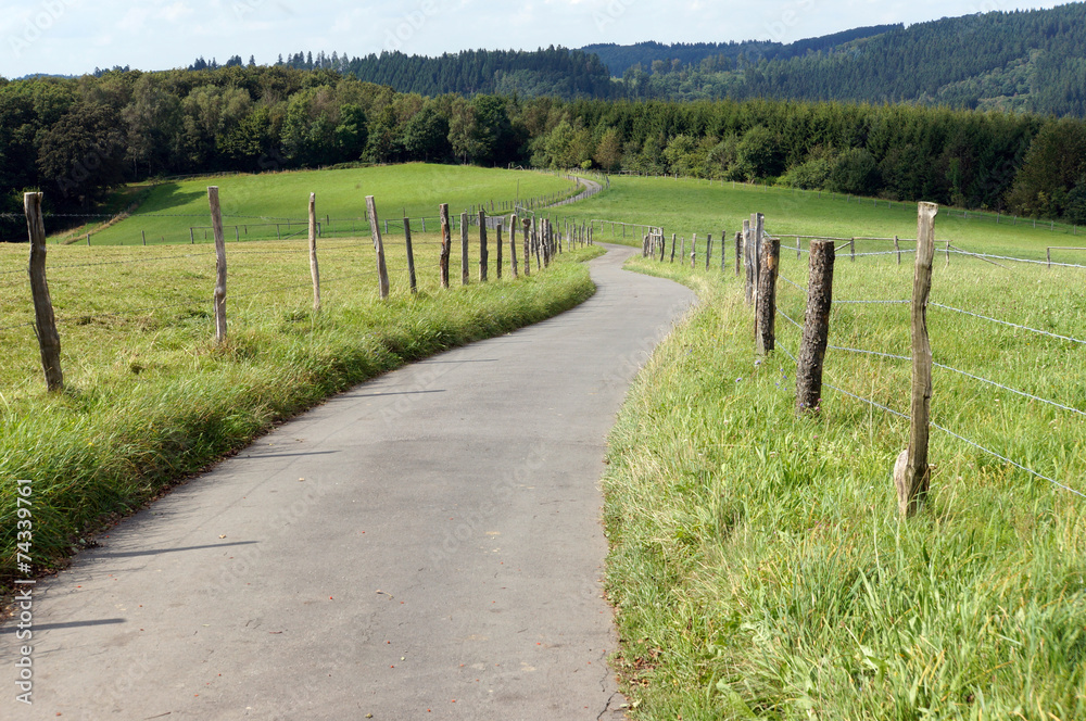 Obraz premium Wanderung im Sauerland