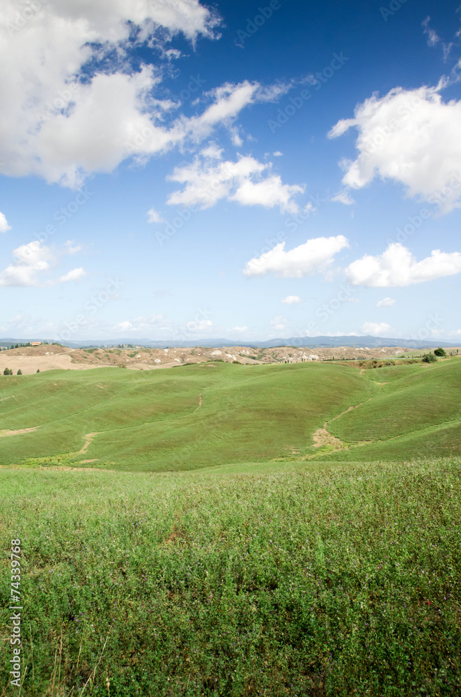 prairie toscane crete senesi