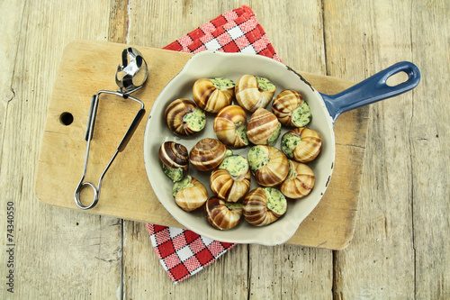 Fototapeta Naklejka Na Ścianę i Meble -  escargots