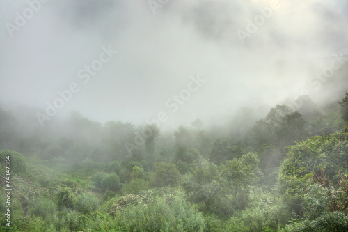 Misty morning at Nagarkot