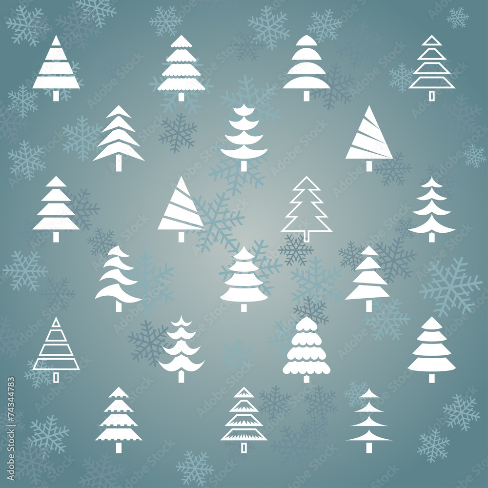 Fir trees1