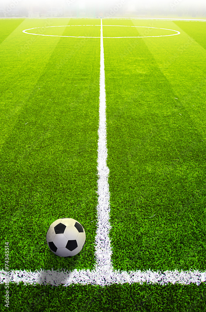 Soccer grass field with marking and ball, Sport Soccer grass field with marking and ball, Sport