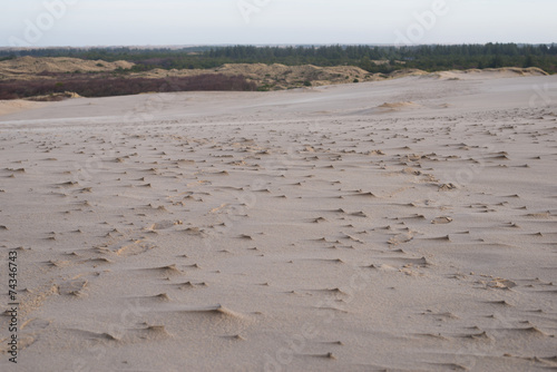 Dune landscape in Skagen, Denmark