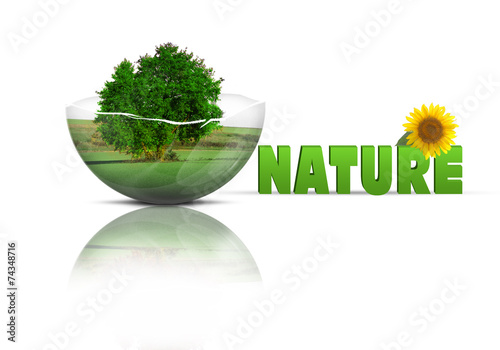 tree in broken bubble