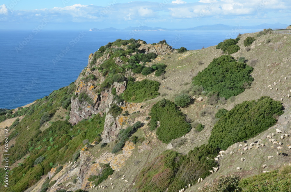 sardinian coast