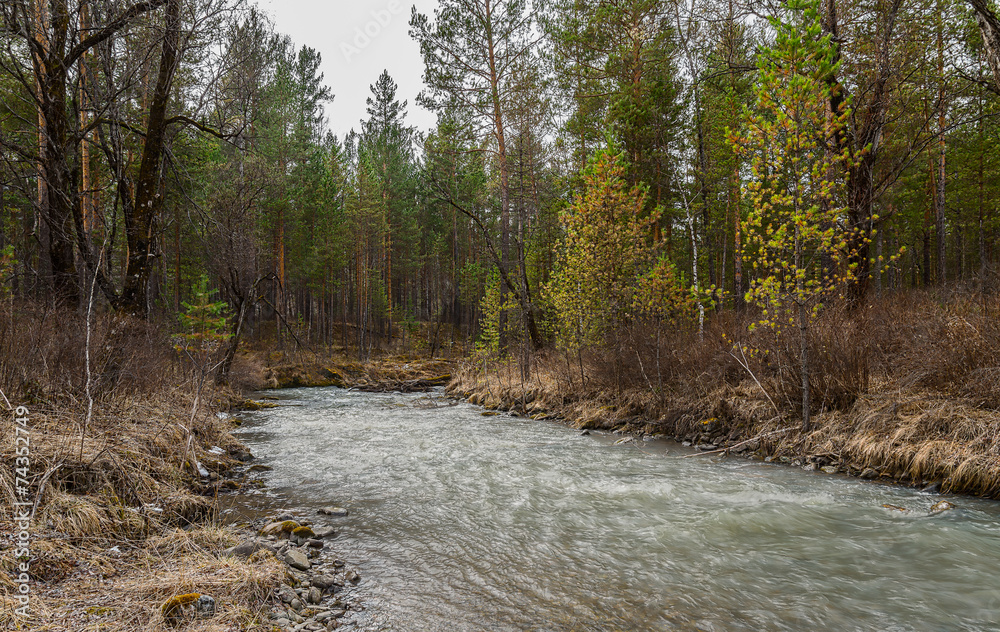 Yenisey River. Stream Uy Yenisey River. Stream Uy