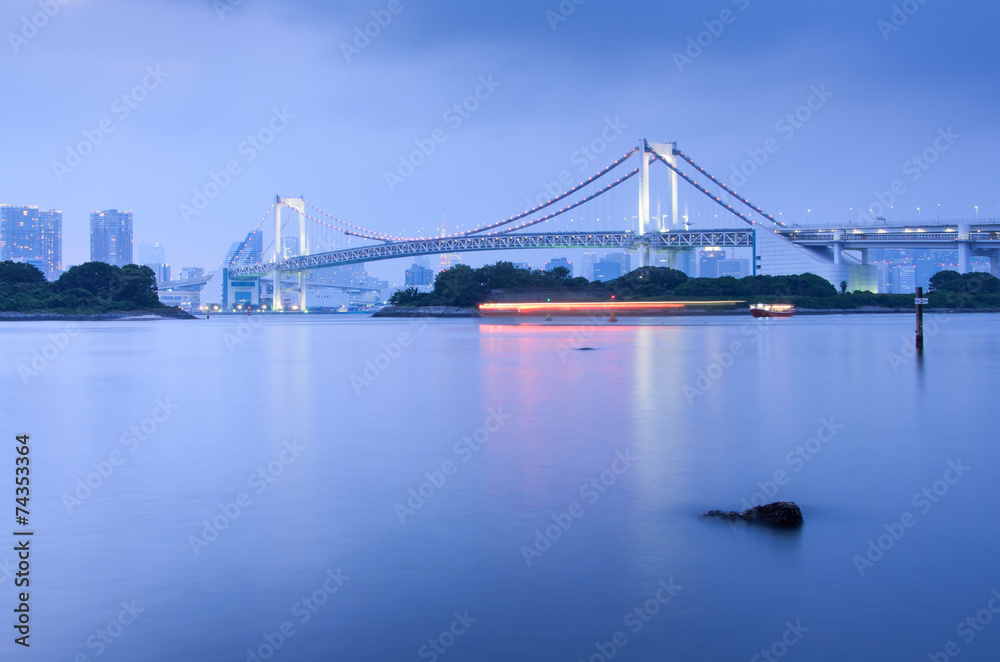 Tokyo Bay and Rainbow Bridge