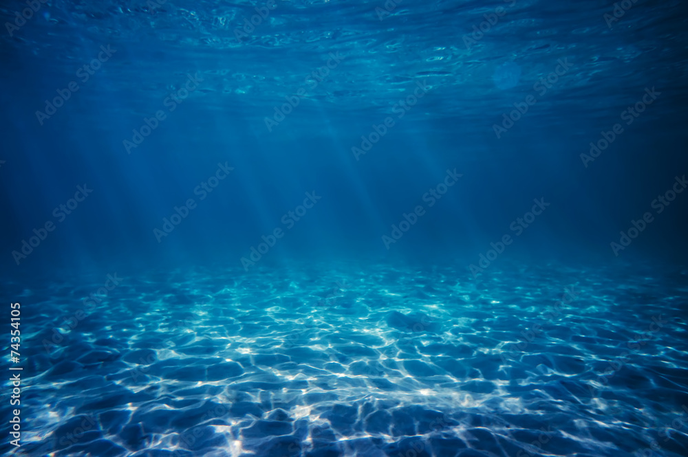 Obraz premium Podwodny