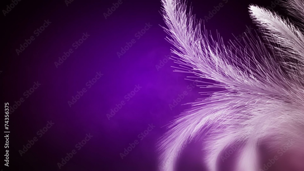 White frost growing in the deep violet fog seamless loop