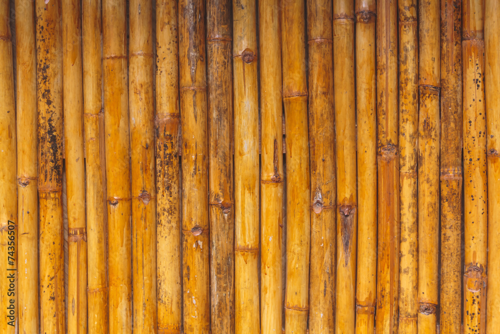 Bamboo background Bamboo background