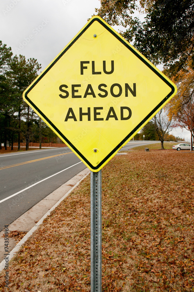 Flue Season Ahead