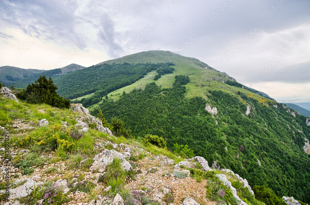 Typical hill in Balkan mountains