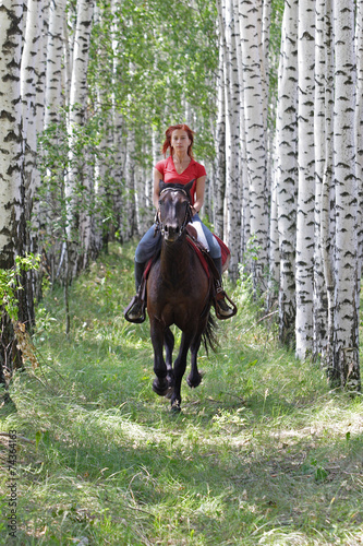 Horseback trail ride in birch forest